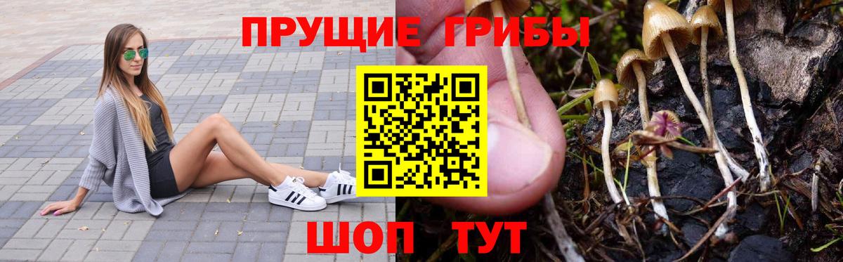Псилоцибиновые грибы прущие грибы  Вход с VPN  Сокол 