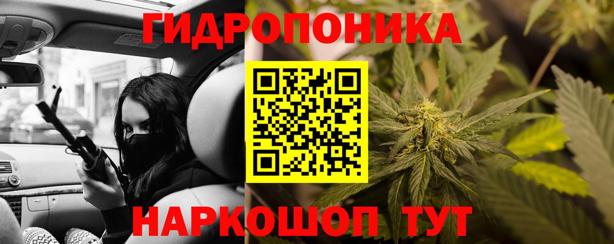 МАРИХУАНА ГИДРОПОН Сокол